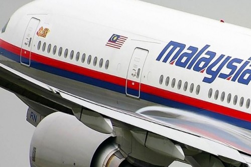 МИД РФ вызвал посла Нидерландов по поводу расследования самолета MH17  - ảnh 1